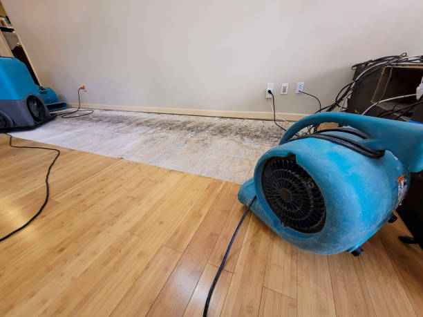 Professional Structural Drying technician working in Pleasant Hill, IA